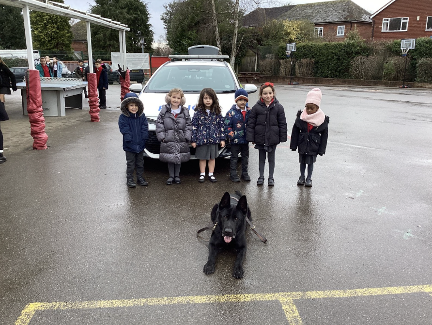 Students stood in a line looking at a police dog lying down in front of them