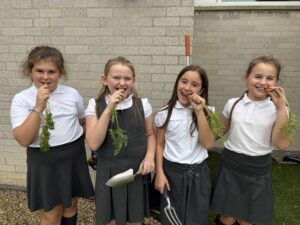 Four young pupils in school uniform eating carrots while holding gardening tools